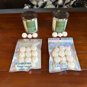 NEW 2-Pc WAX MELTS Bath & Body Works Candle Wax Melts - EUCALYPTUS SPEARMINT